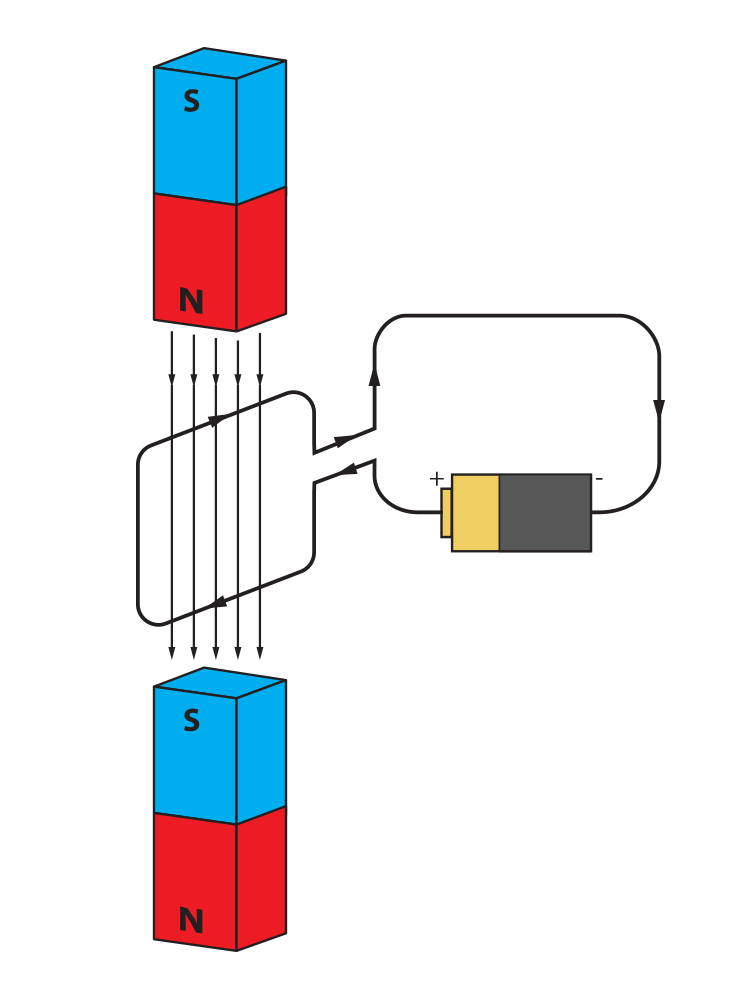 A coil from an electric circuit placed between two magnets